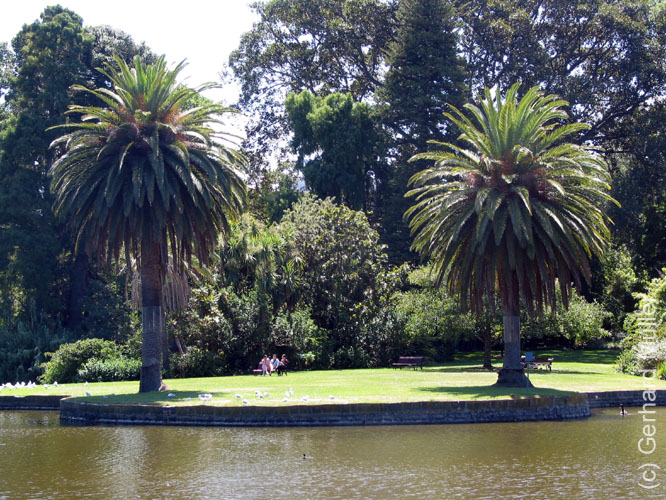 Melbourne-054