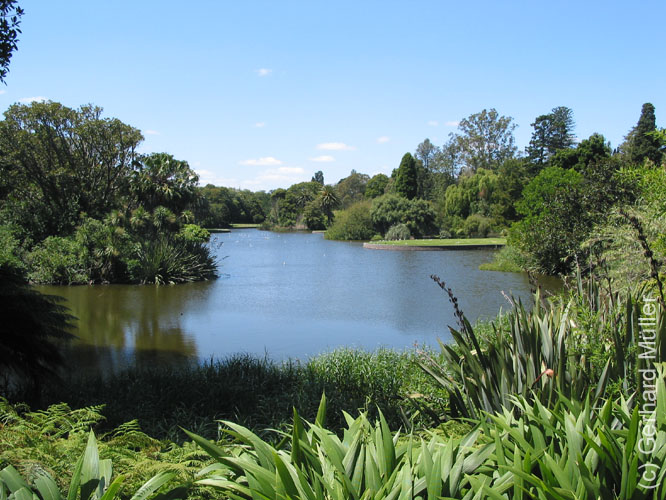 Melbourne-056