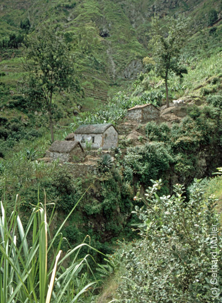 6_CapVerde_1994_Cova-Krater_021