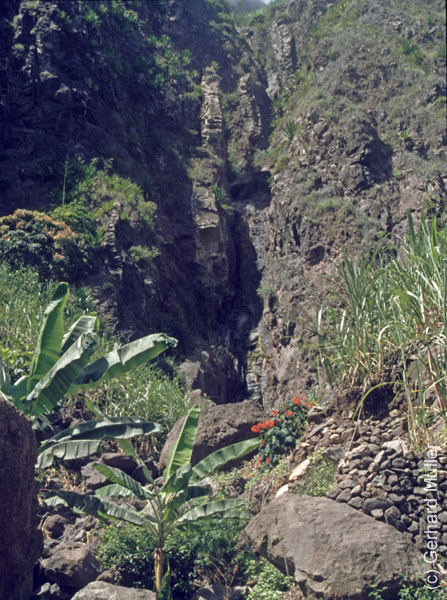 6_CapVerde_1994_Cova-Krater_025