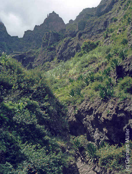 6_CapVerde_1994_Cova-Krater_027