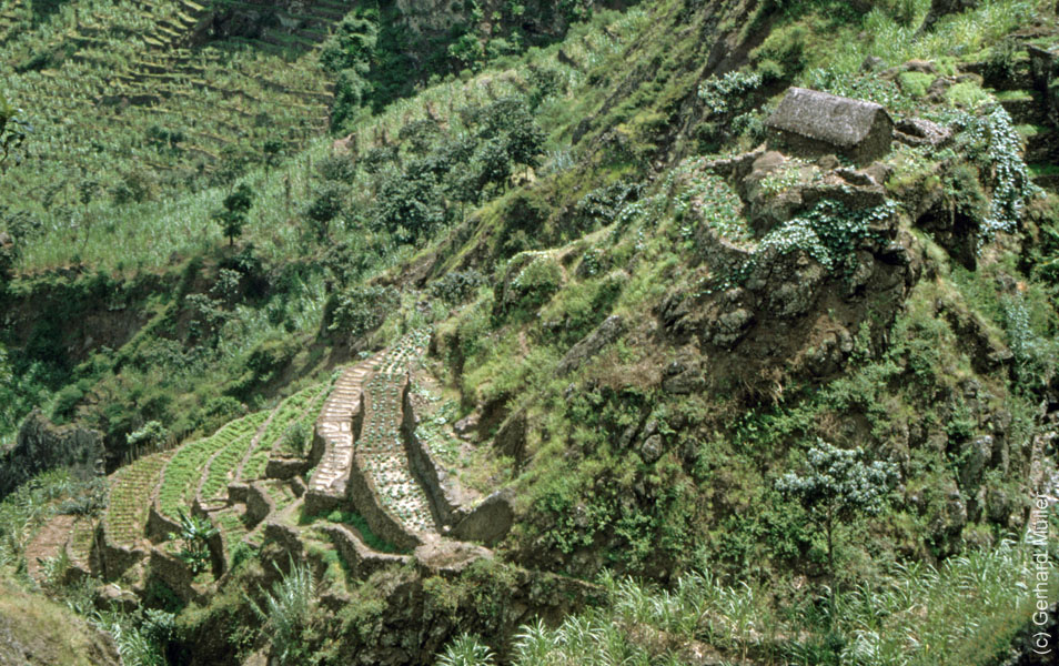 6_CapVerde_1994_Cova-Krater_029