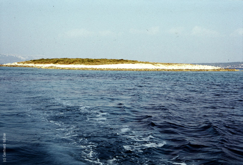 Rab-1980_059c