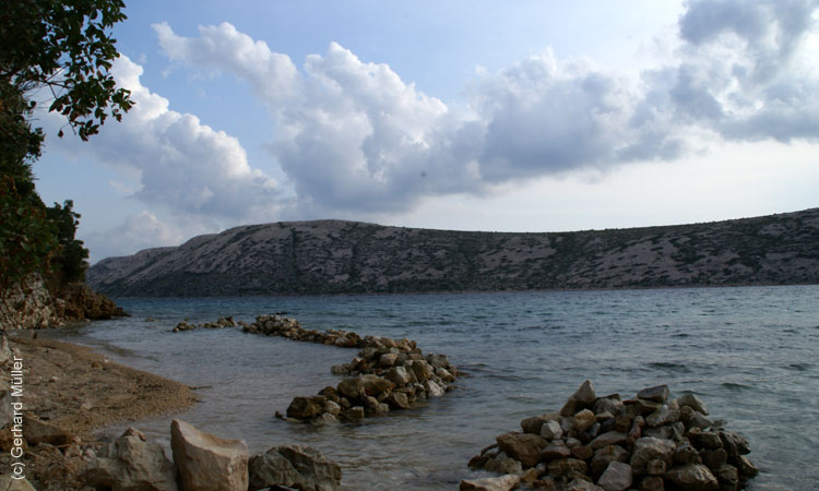 DSC09719