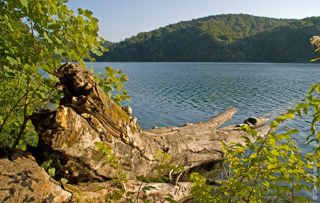 Rab 2011_04_Plitvice_162